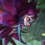Fiddlesticks